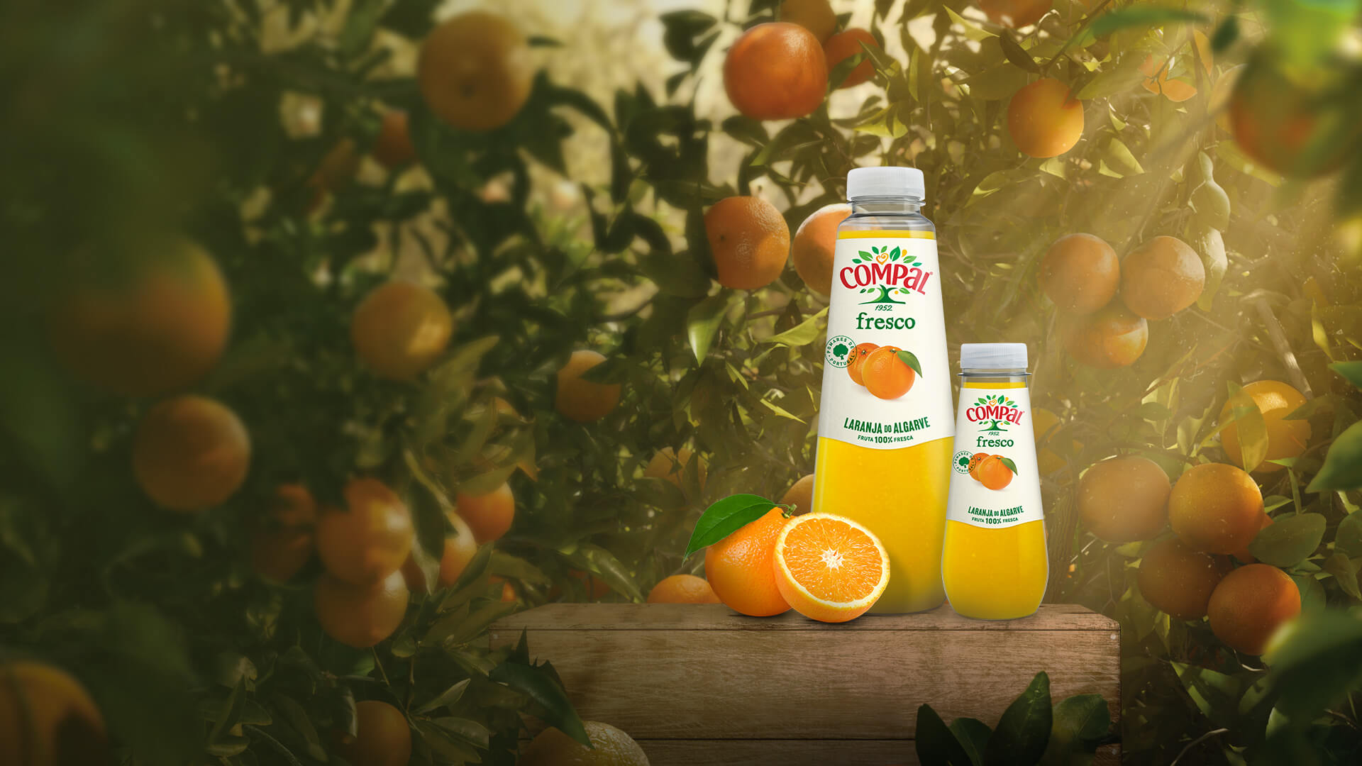 Laranja do Algarve | Fresco | Compal