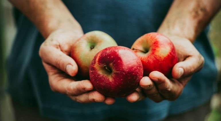 Dia Internacional da Maçã: Tipos de Maçã