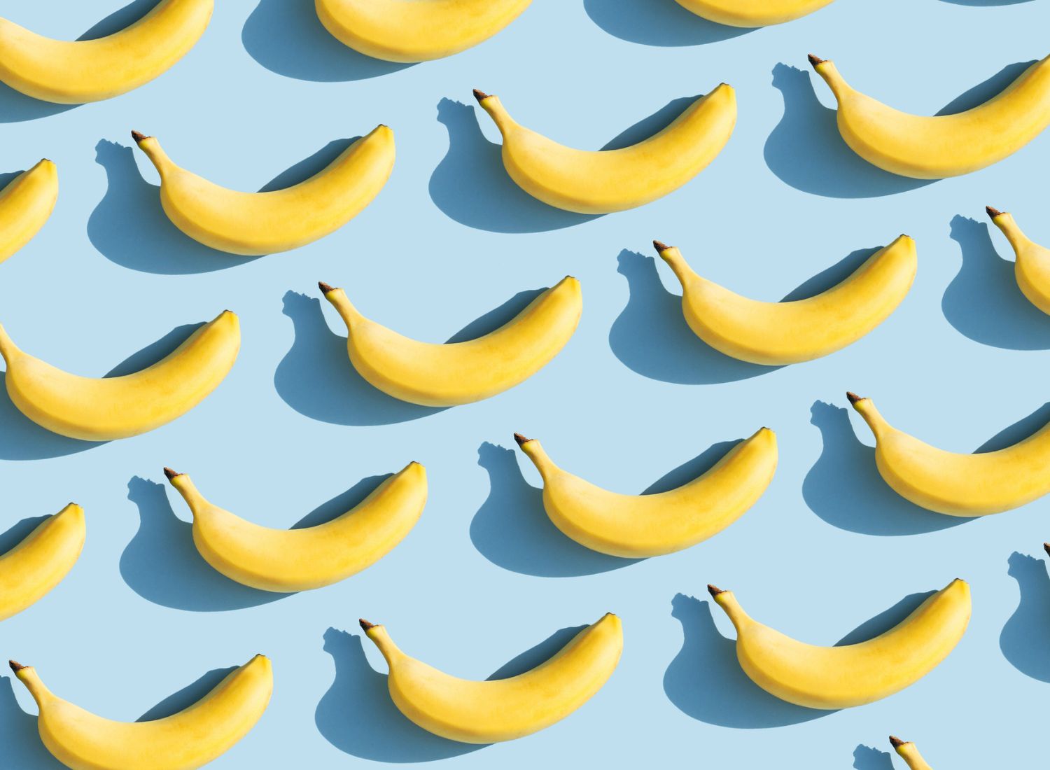 UMA HISTÓRIA DA ARTE COM MUITA FRUTA