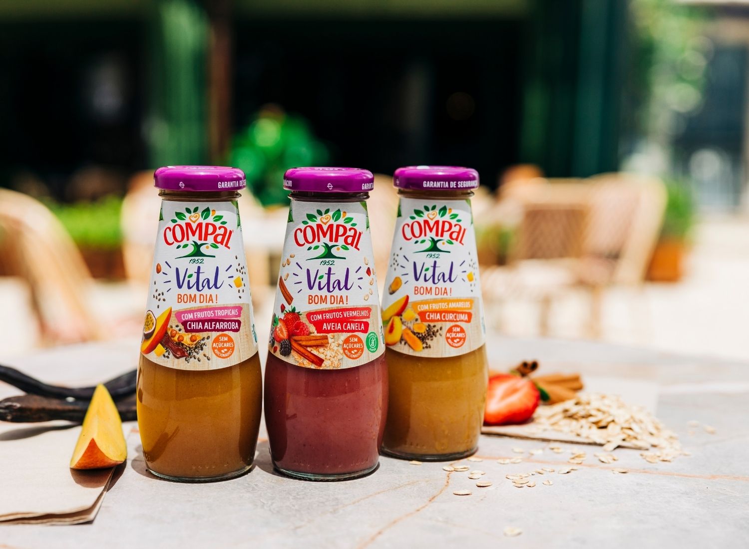 NOVOS SABORES COMPAL VITAL 