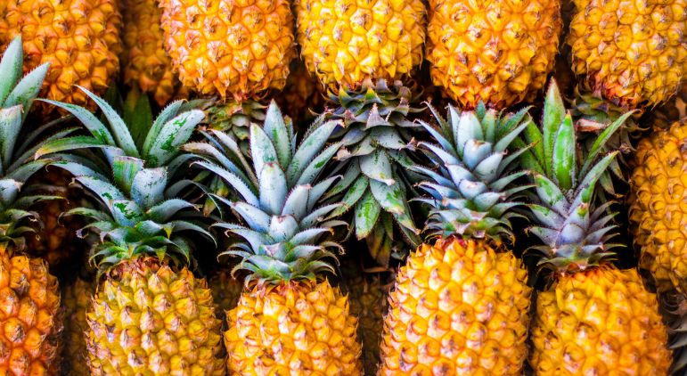 Benefícios do ananás e a sua origem