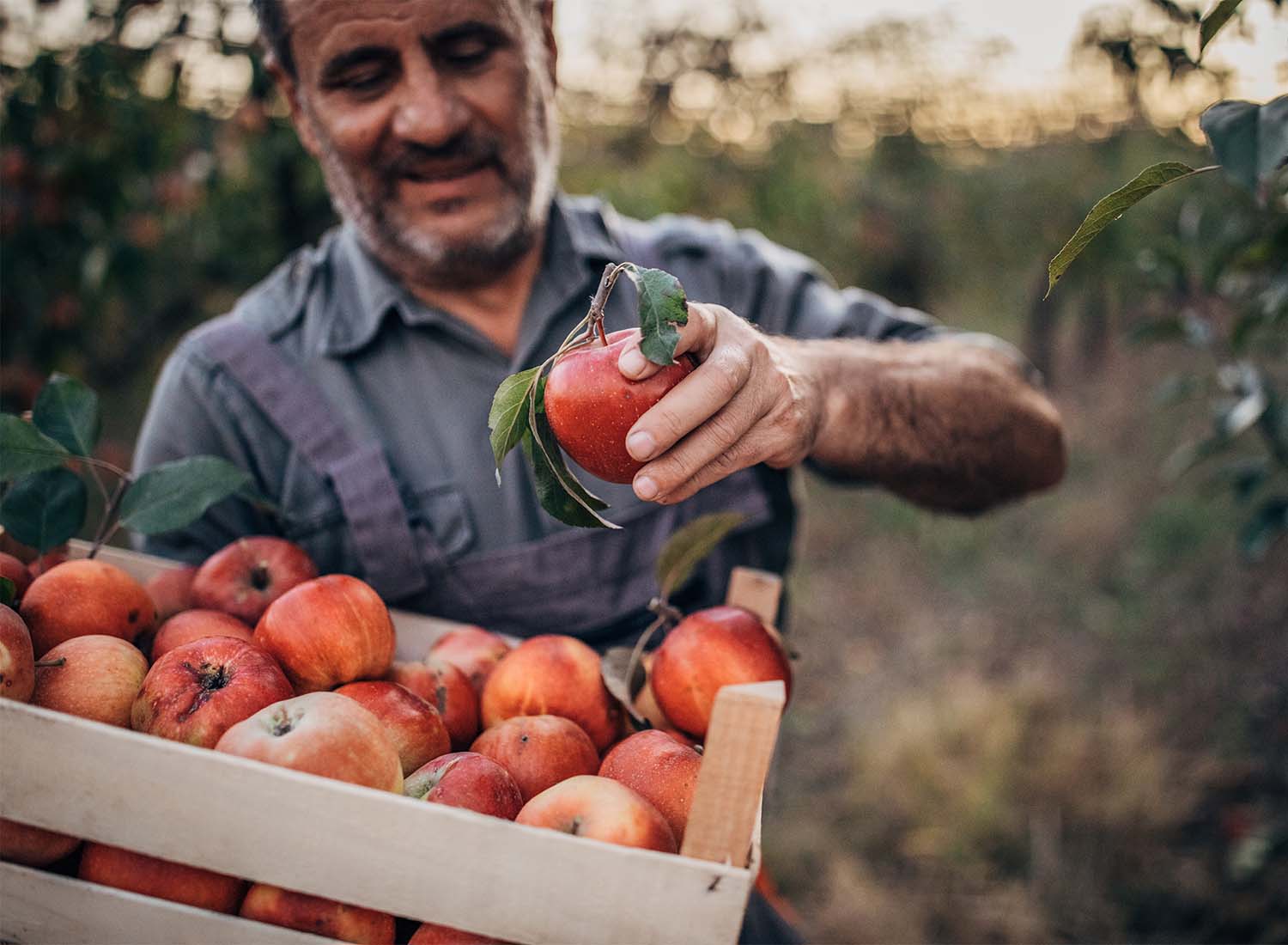 Agricultura responsavel_agricultor
