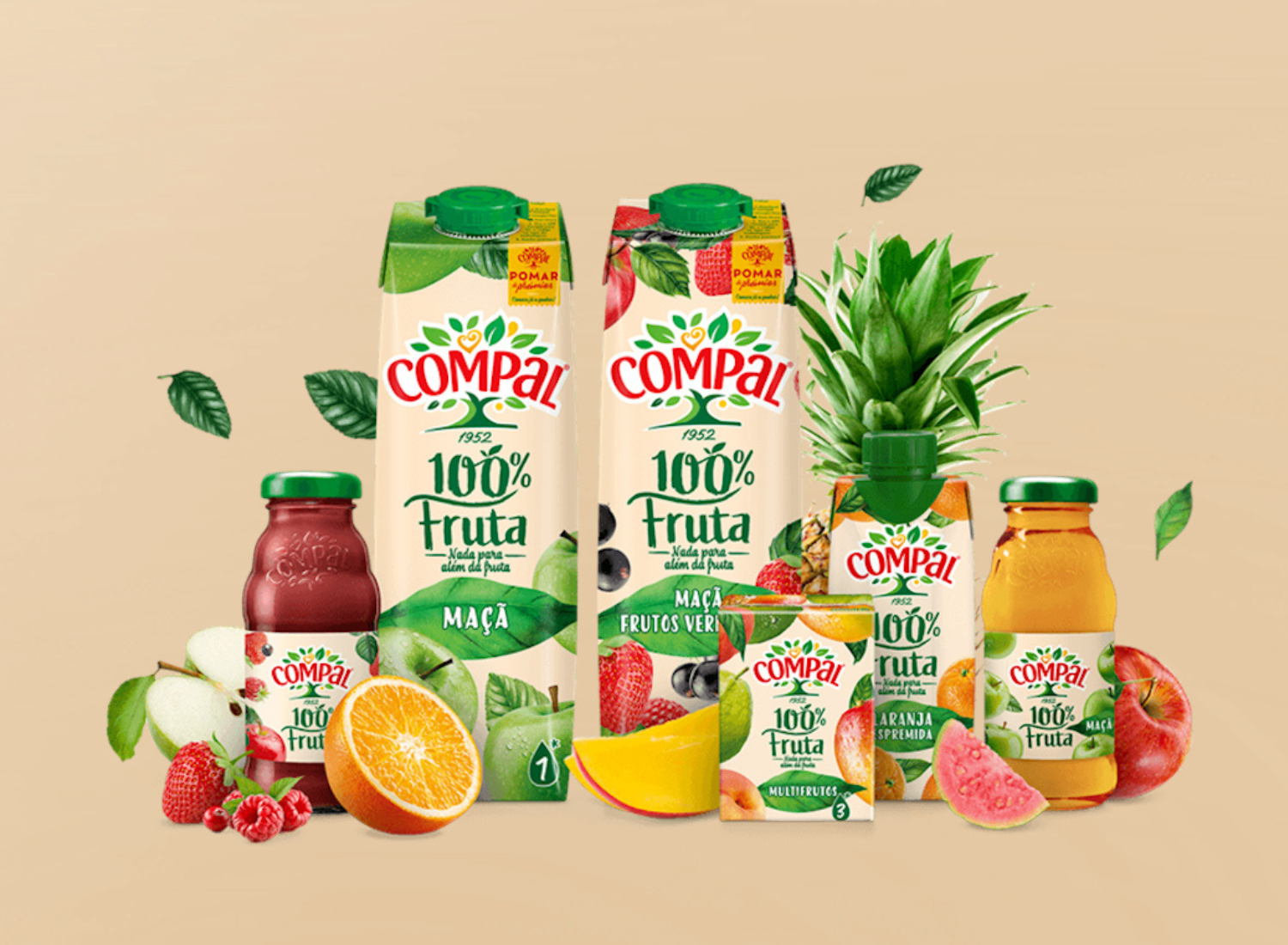 O QUE É QUE O SUMO 100% FRUTA TEM?