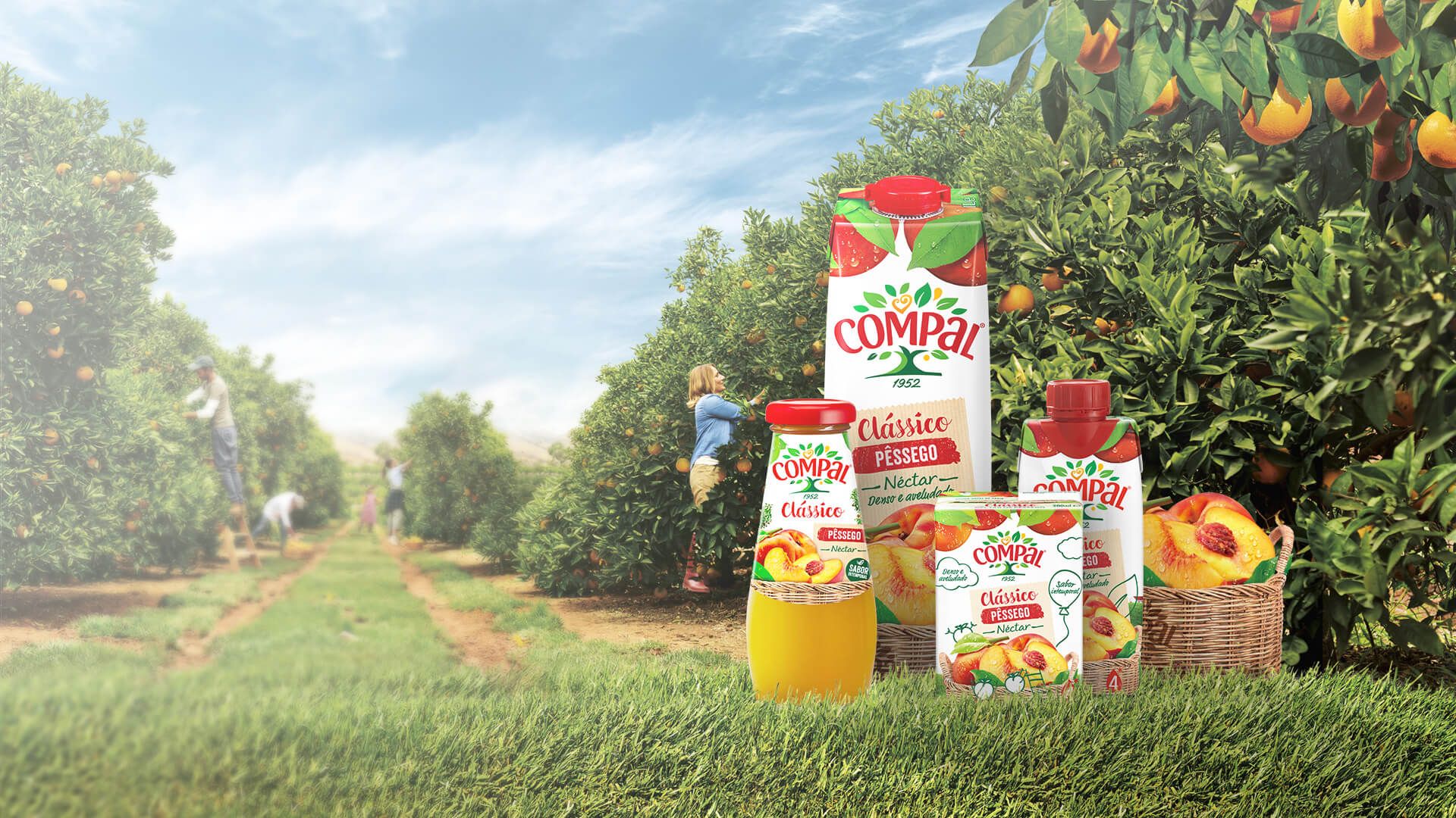 Embalagens Tetra Pak – Compal