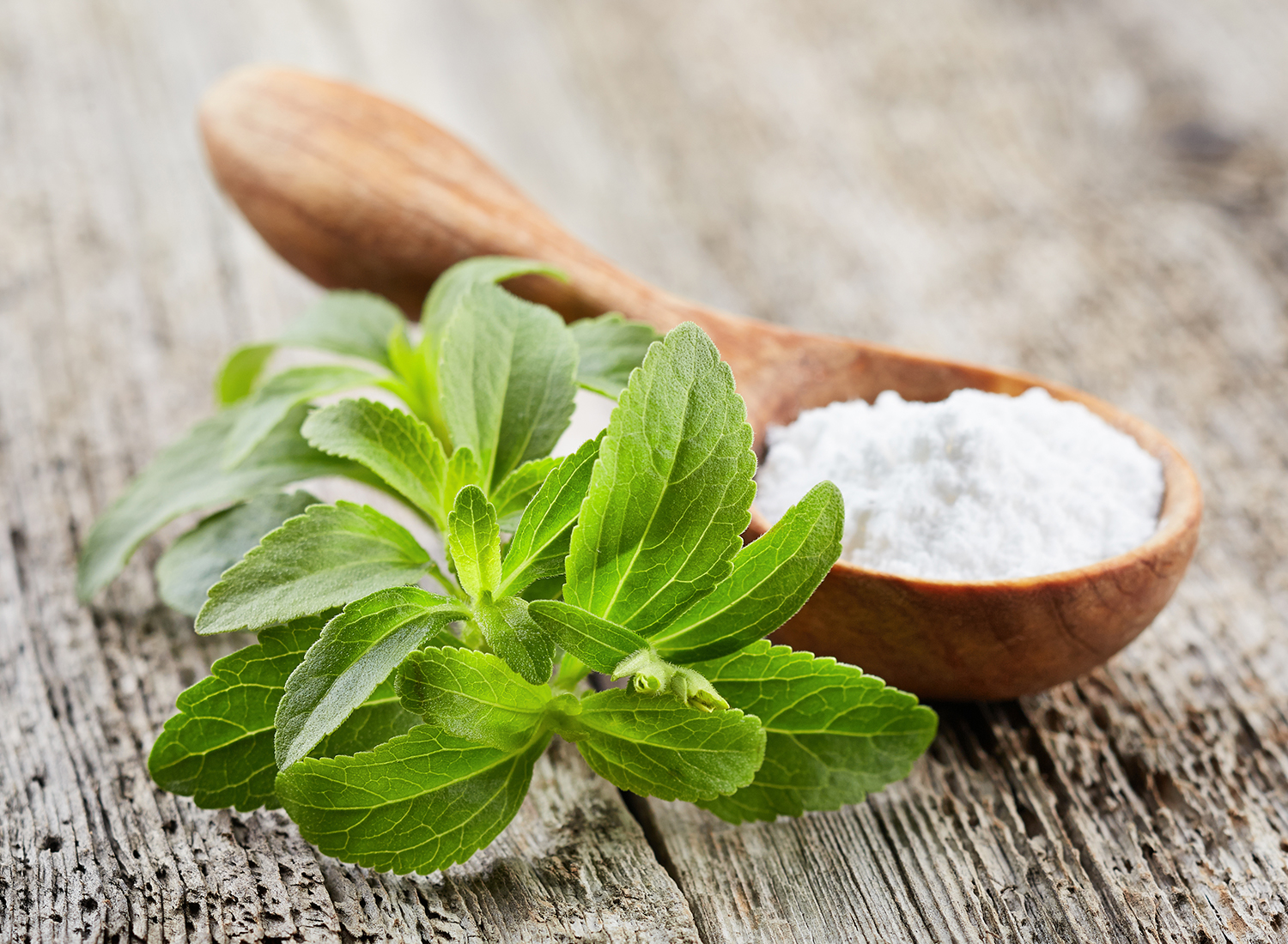 Stevia: o que é?