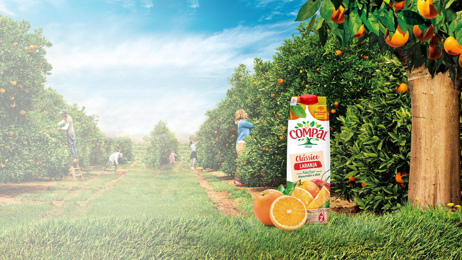 N ctar Laranja Cl ssico Compal n-ctar-laranja-cl-ssico-compal