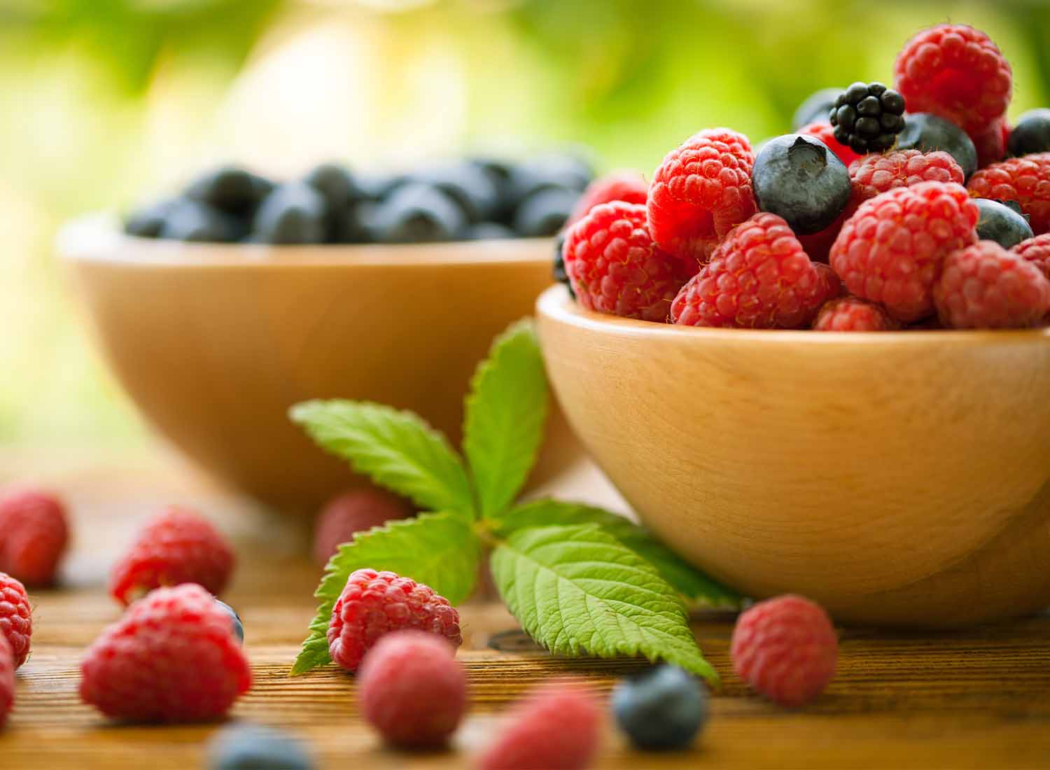 Compal Vital: imunidade contra agentes agressores