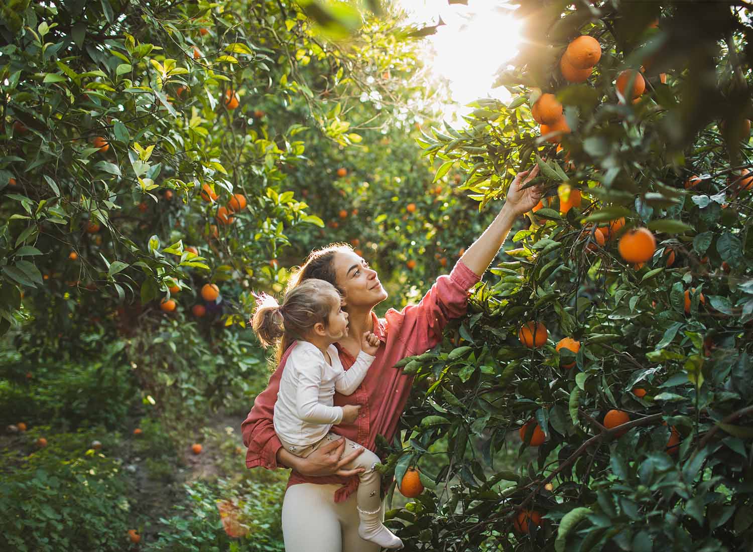 Compal Fresco – Do pomar para o copo