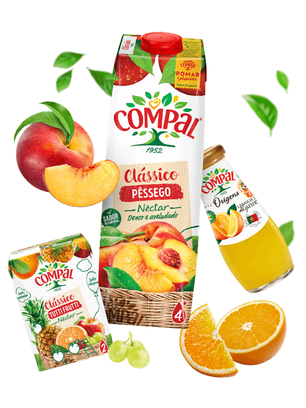 O que fazemos - Produtos | Compal