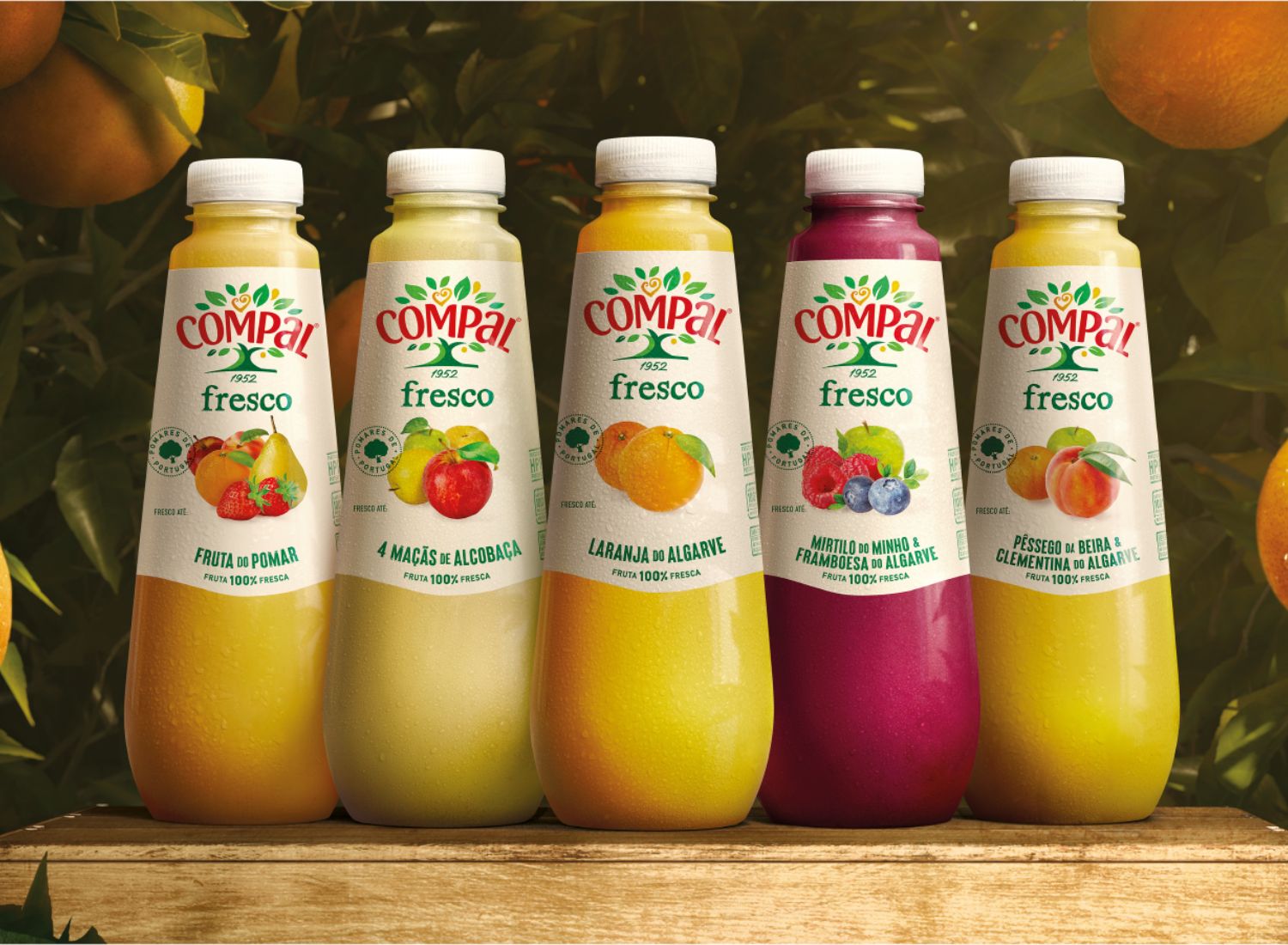 NOVOS SABORES COMPAL FRESCO