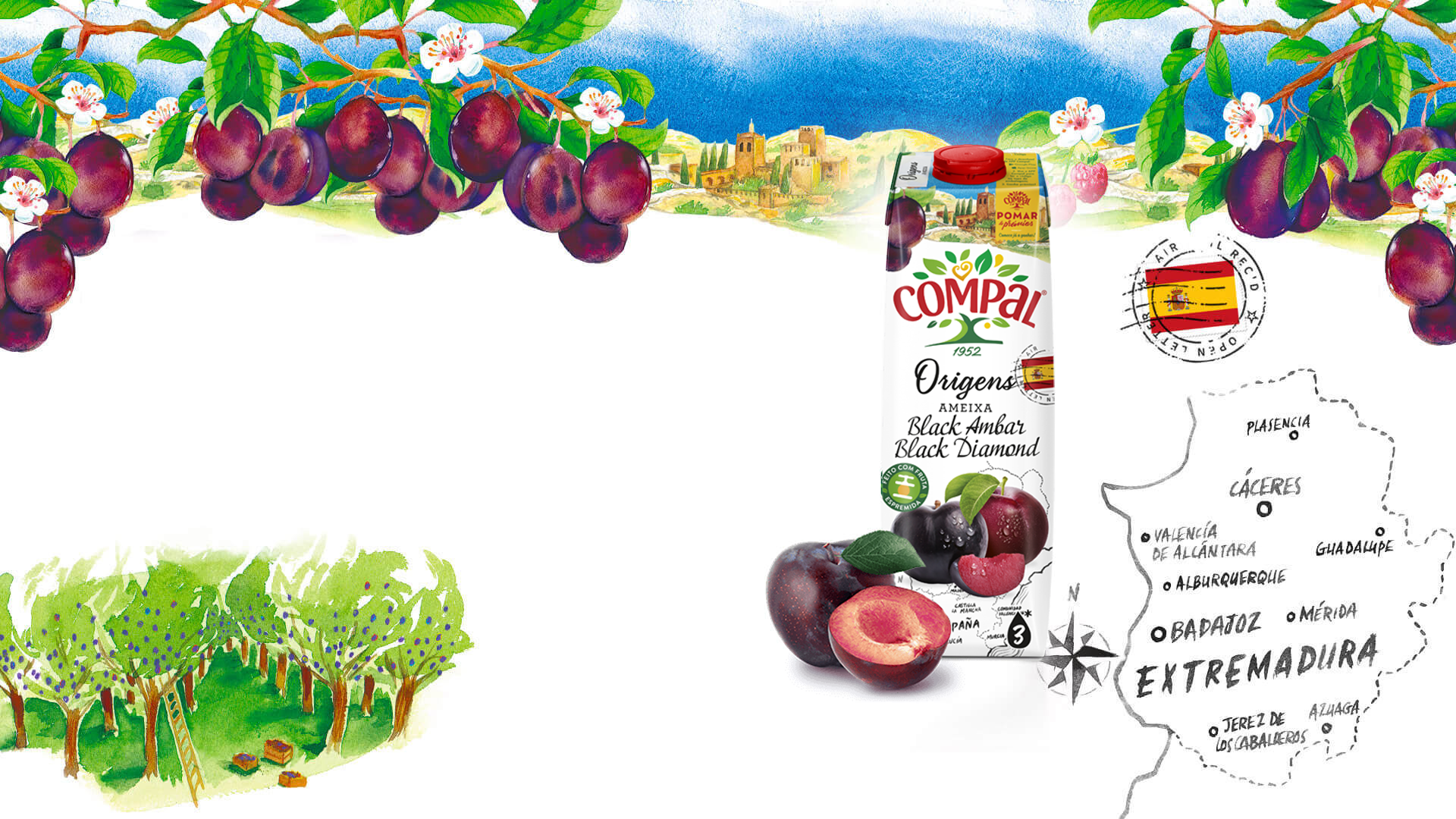 Ameixa Black Amber e Black Diamond