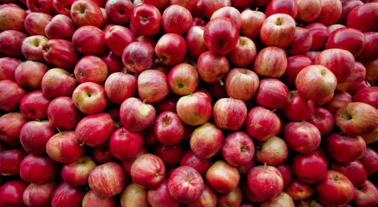 Dia Internacional da Maçã