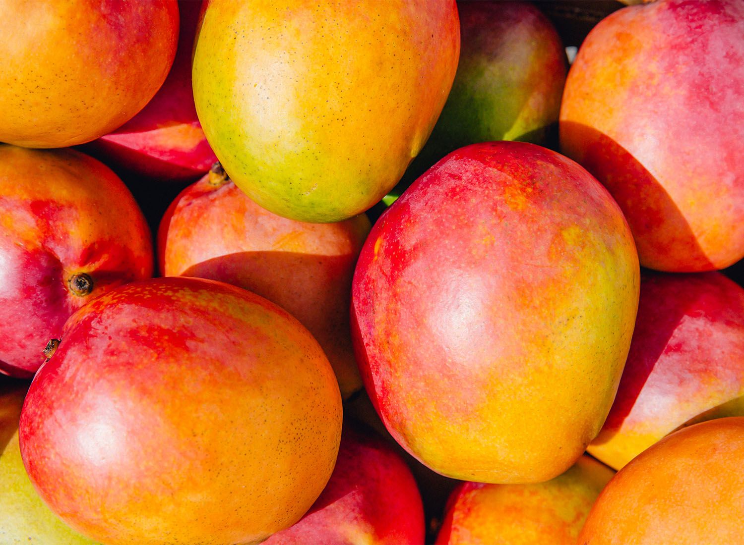 Compal 100%, nada para além da fruta