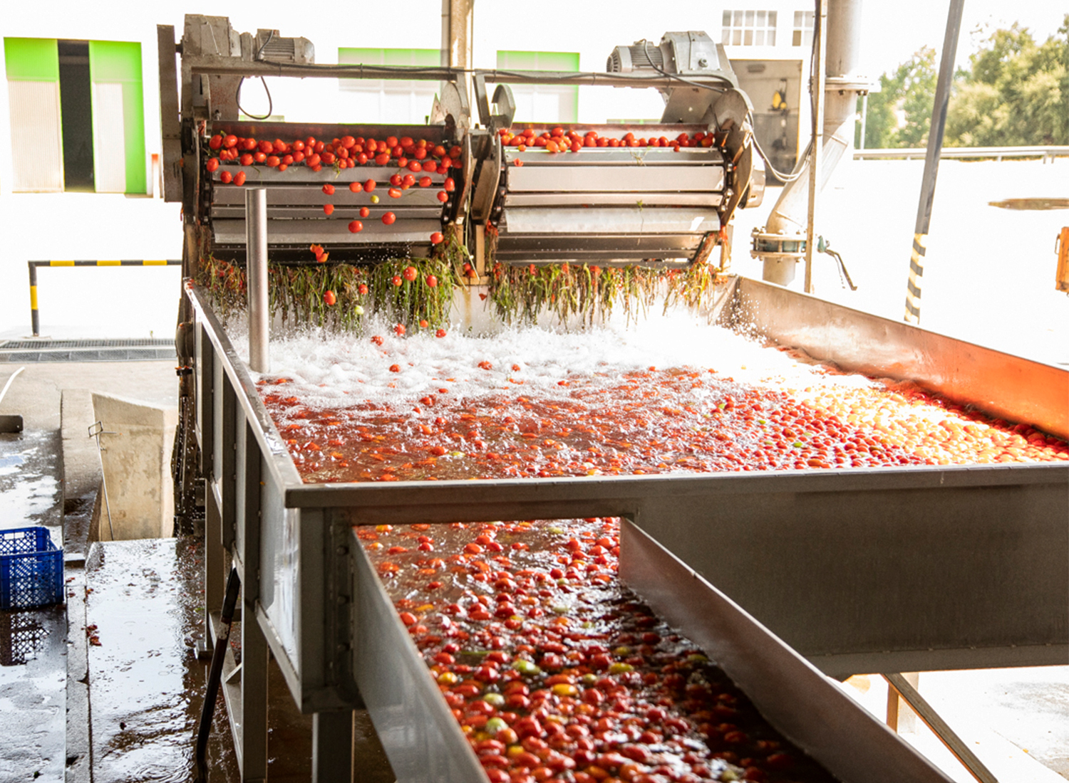 beneficios-do-tomate