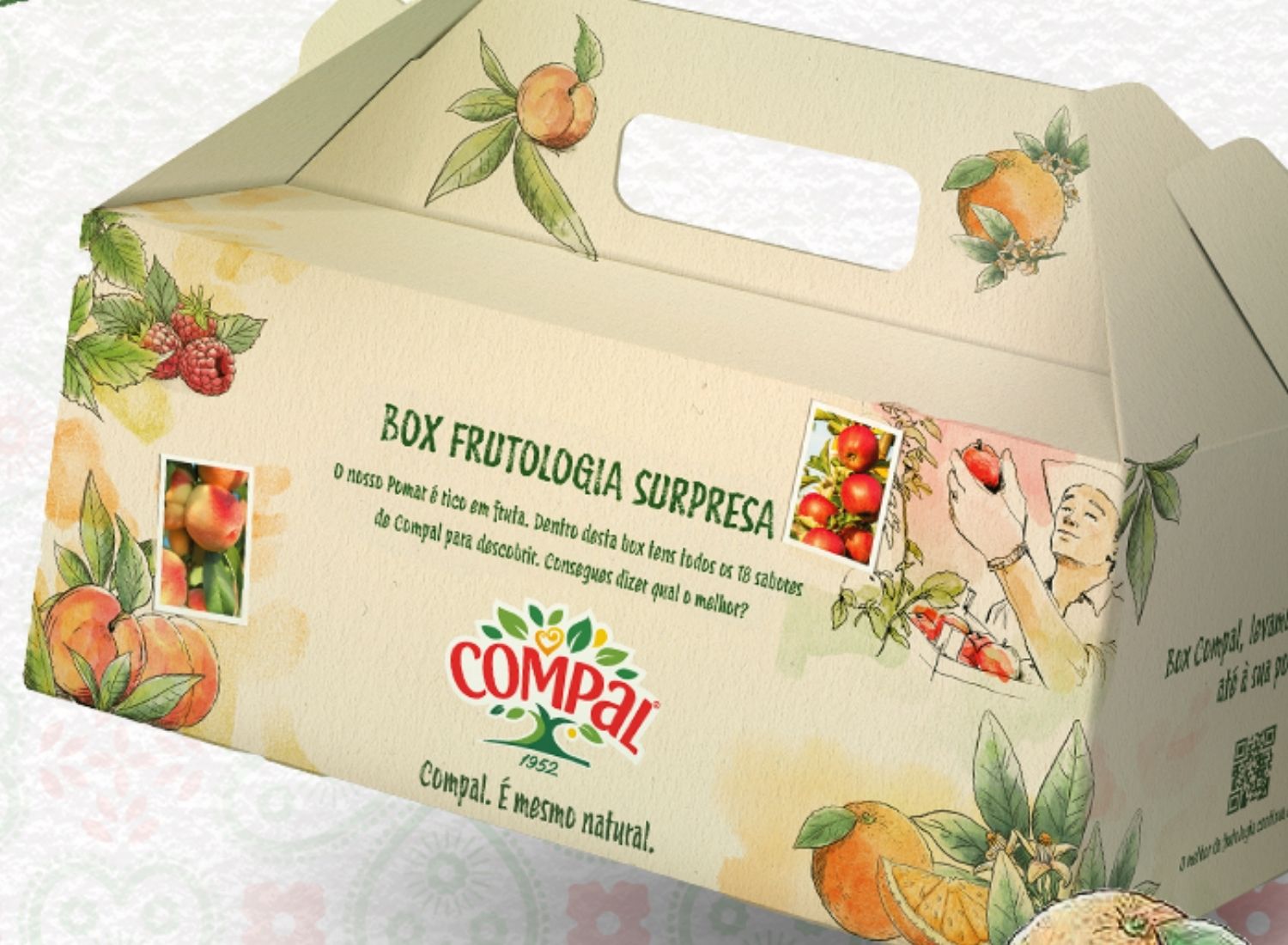 Box Frutologia Compal