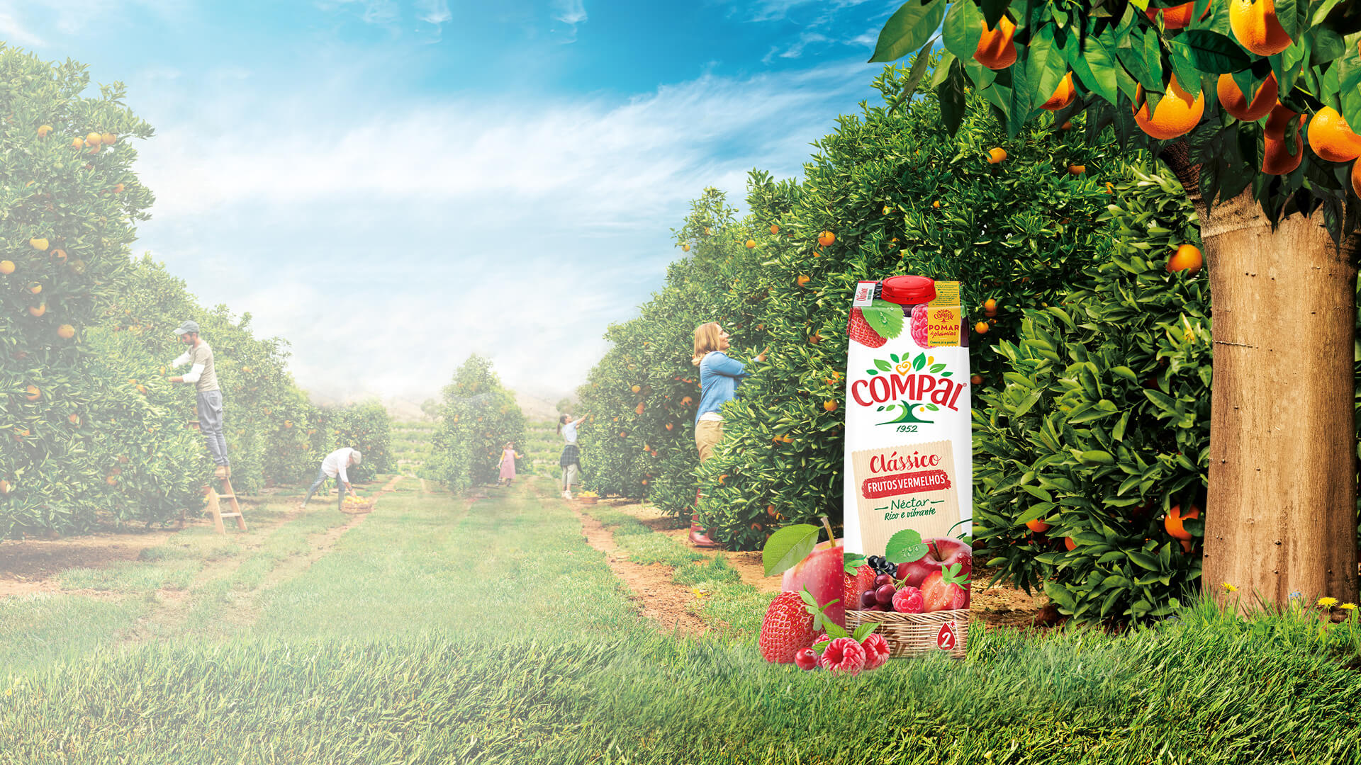 Clássico Frutos Vermelhos