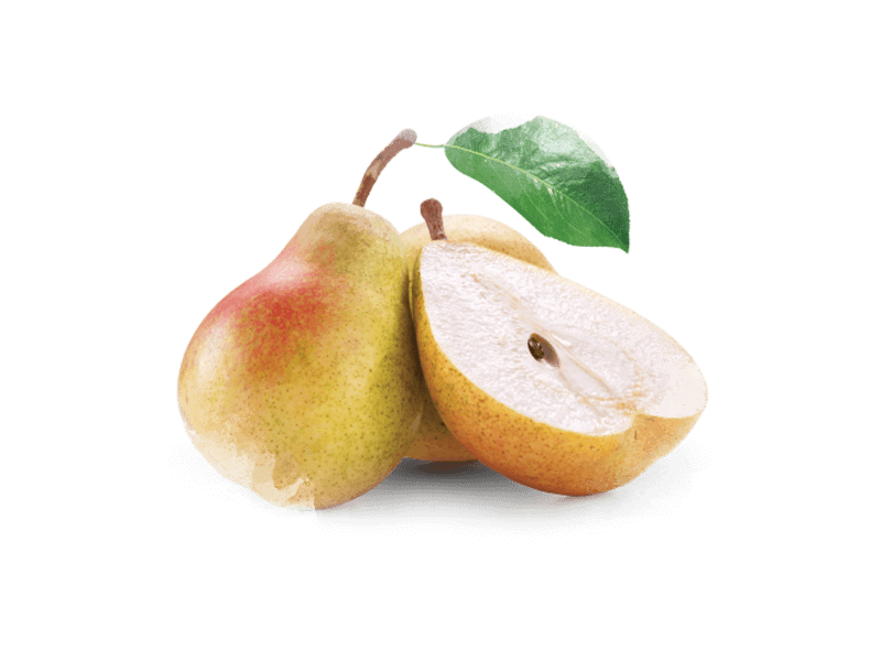 Pera - Origem das Frutas | Compal