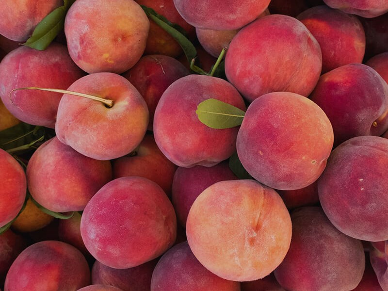 Pera - Origem das Frutas | Compal