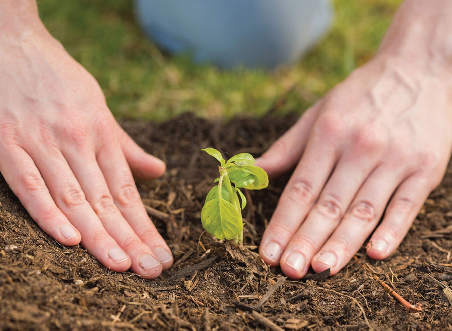SER FORMANDO DO CENTRO DE FRUTOLOGIA COMPAL