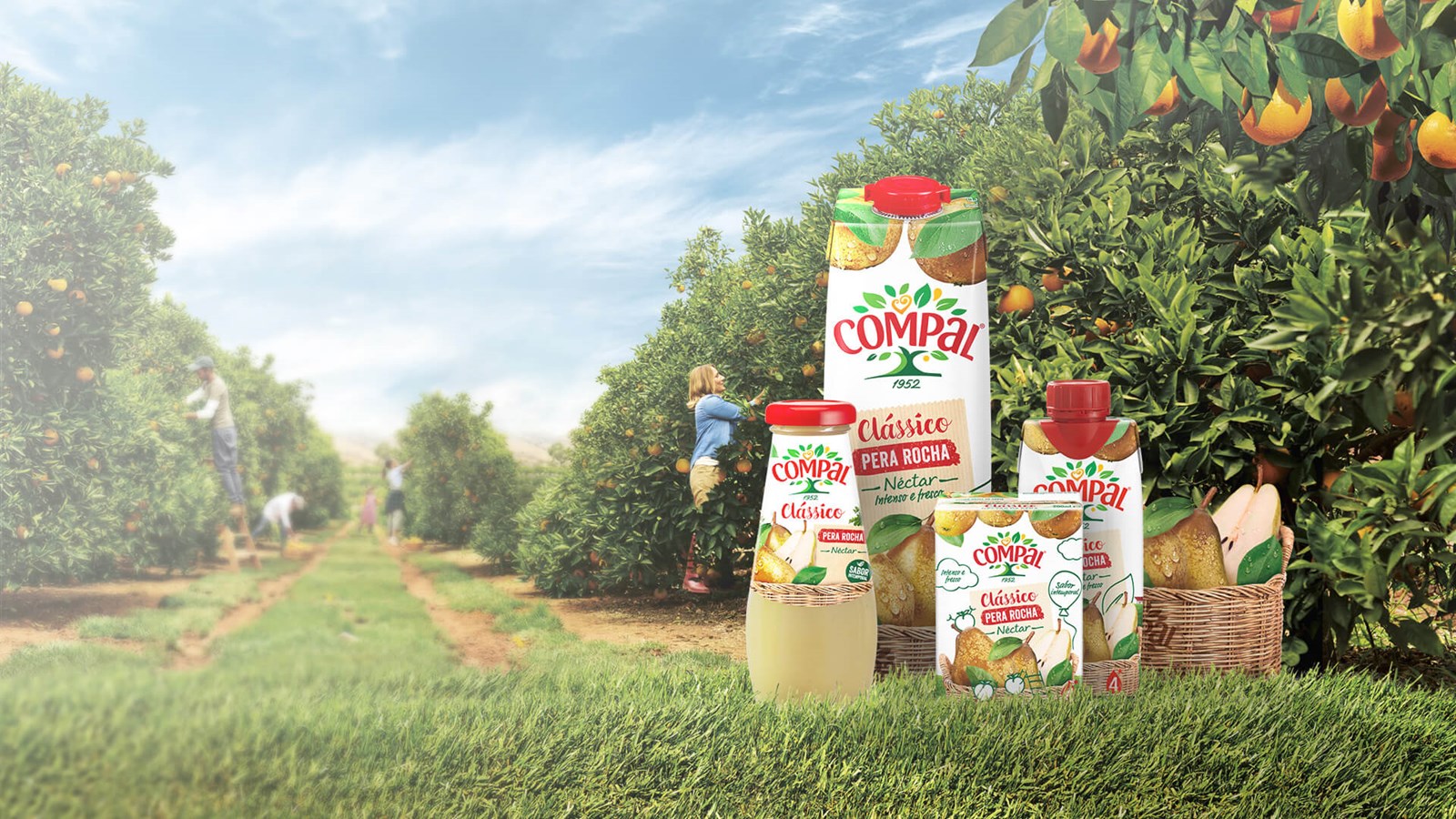 Néctar Pera Rocha | Clássico | Compal