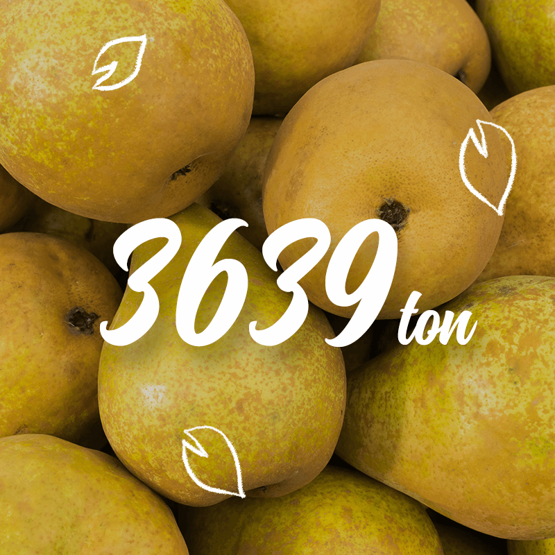 Produção | O Amanhã Importa | Compal